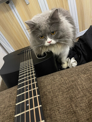 吉他|客观评价拿火吉他BLUE LAVA怎么样？上手三周说真相