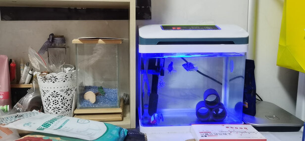 鱼缸净水剂