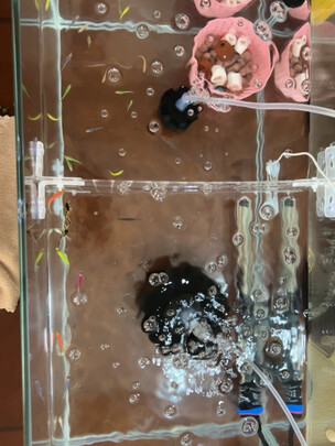 桌面鱼缸