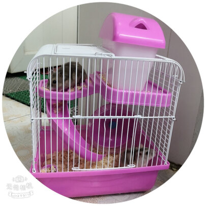 仓鼠水壶