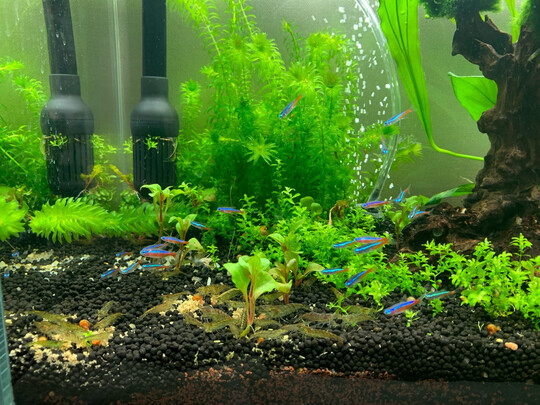 鱼缸氧气泵