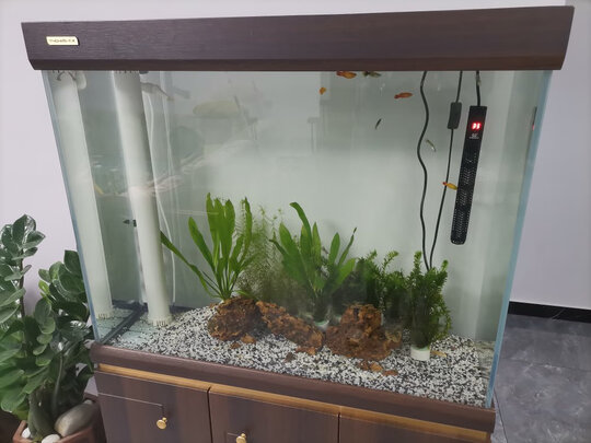 三,创宁(chuang ning)鱼缸加热棒网友对比评测