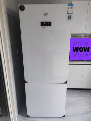 倍科RCNE 520 E20ZGW（前车之鉴）有必要告诉大家真相