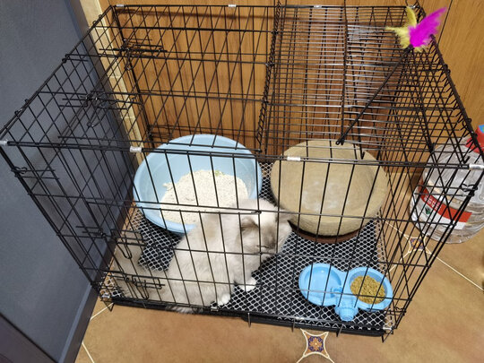  猫笼