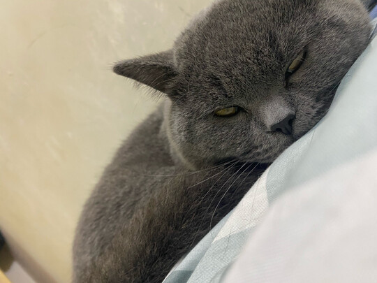 高压洗车机 