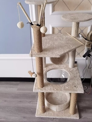 猫爬架