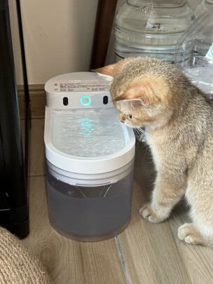宠物饮水机