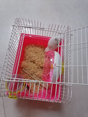 仓鼠水壶