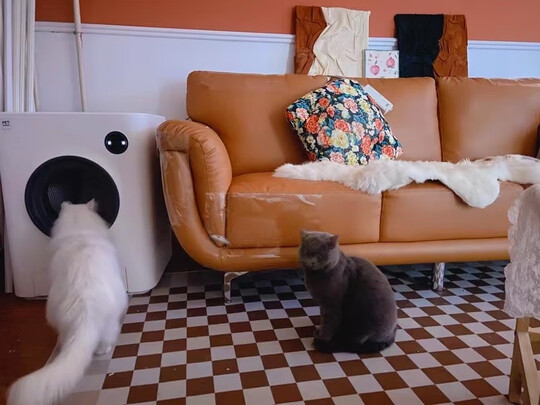 猫砂铲