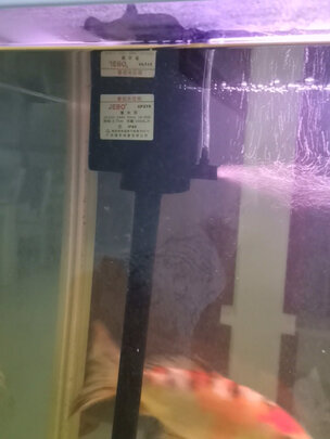鱼缸潜水泵