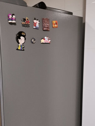 美菱BCD-556WPCX是哪里生产的，值吗