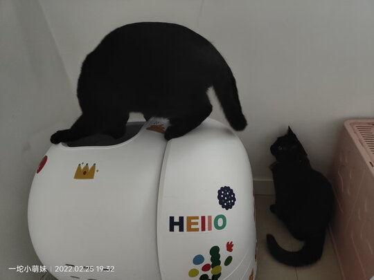 猫砂盆