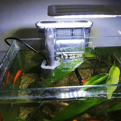 鱼缸过滤器