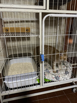 猫砂铲