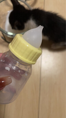 宠物奶瓶