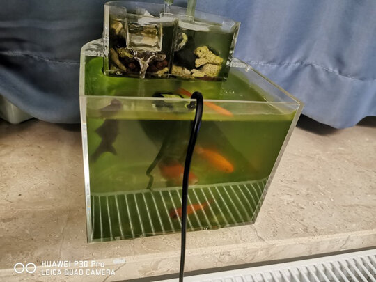 桌面鱼缸
