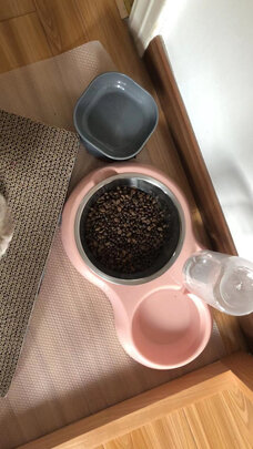 猫碗狗碗