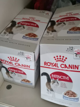 猫粮罐头
