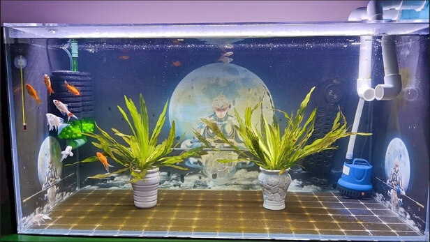 鱼缸水草灯