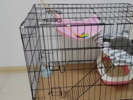 猫笼