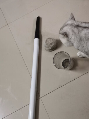 宠物吸毛器