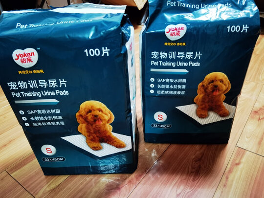 宠物纸尿裤