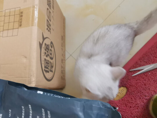 猫粮