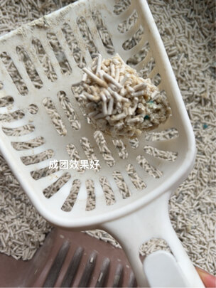 豆腐猫砂