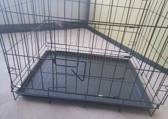 狗笼