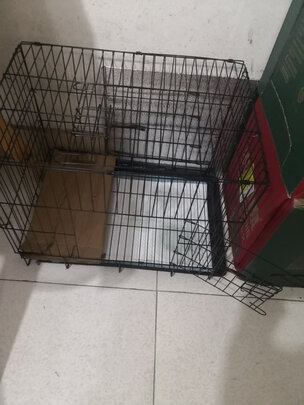 宠物纸尿裤
