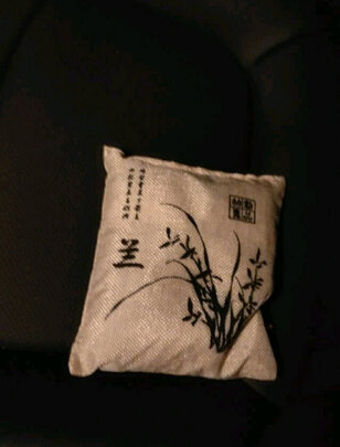 汽车竹炭包