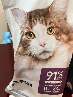 猫罐头