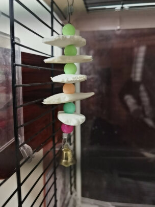 鸟笼