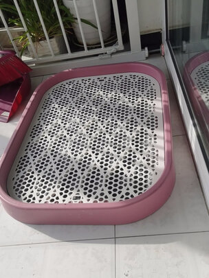 狗厕所