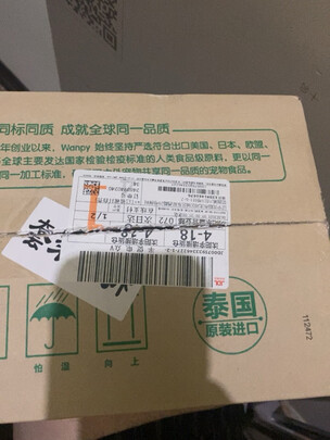 猫罐头
