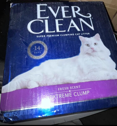 膨润土猫砂