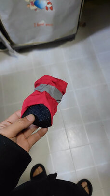 狗狗鞋