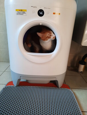 猫砂盆