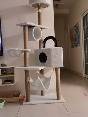 猫爬架