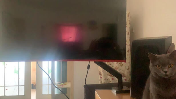 NBG40评判质量差有依据吗？