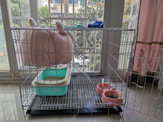  猫笼
