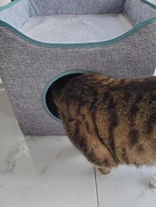 猫窝