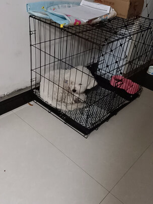  猫笼