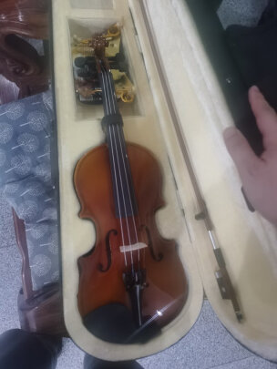 名森MS-V019小提琴1/2款究竟怎么样？趣味无穷吗 