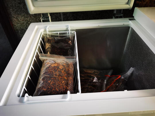 冰柜|澳柯玛BCD-203CNE冰柜怎么样？亲身体验告知你实情！