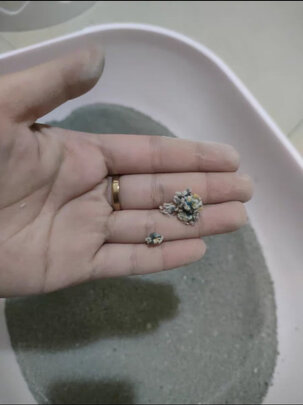 膨润土猫砂