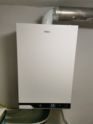 海尔（Haier）冷凝式壁挂炉 燃气采暖炉 锅炉暖气片地暖全屋热水器恒温洗浴两用一级能效省气 20HN1【节能20%】20KW（50-120平）