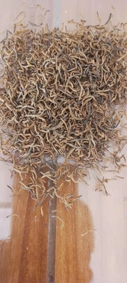 金骏眉红茶