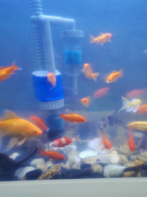 鱼缸换水器