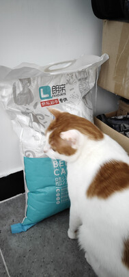 膨润土猫砂